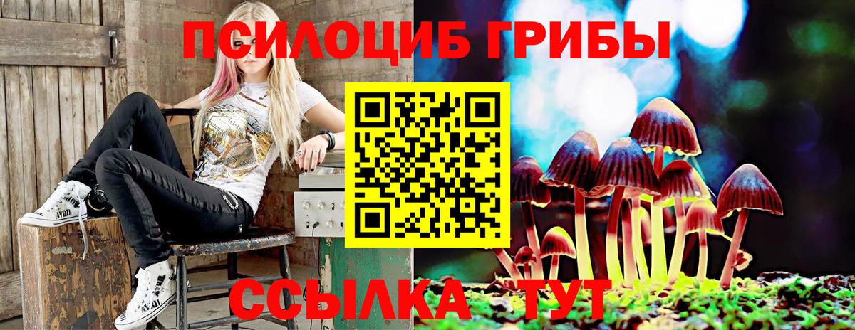 Псилоцибиновые грибы прущие грибы Долгопрудный